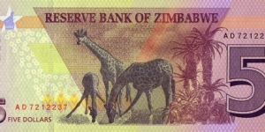 Banknote from Zimbabwe