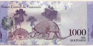 Banknote from Venezuela