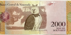 Banknote from Venezuela