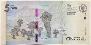 Banknote from Colombia