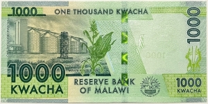 Banknote from Malawi