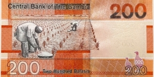 Banknote from Gambia