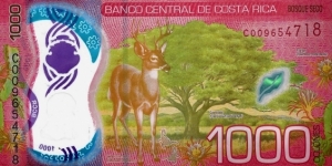 Banknote from Costa Rica