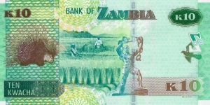 Banknote from Zambia