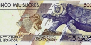 Banknote from Ecuador