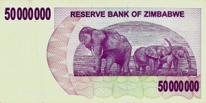 Banknote from Zimbabwe
