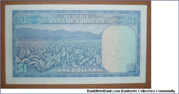 Banknote from Rhodesia year 1979