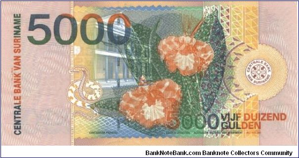 Banknote from Suriname year 2000