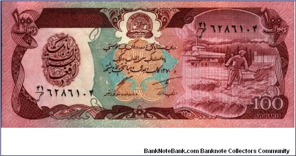 Afghanistan - 100 Afghanis - P-58 Banknote