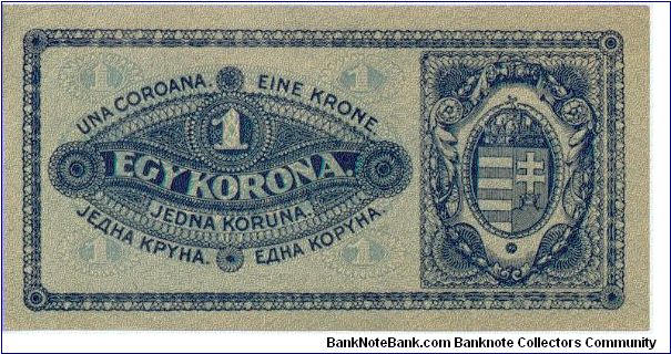 Banknote from Hungary year 1920