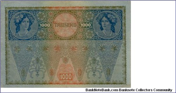 Banknote from Austria year 1919