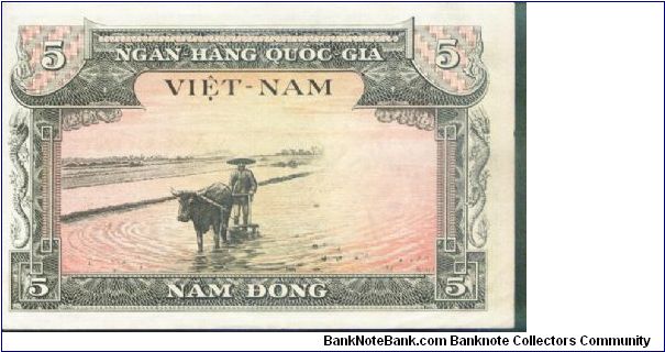 5 Dong Banknote