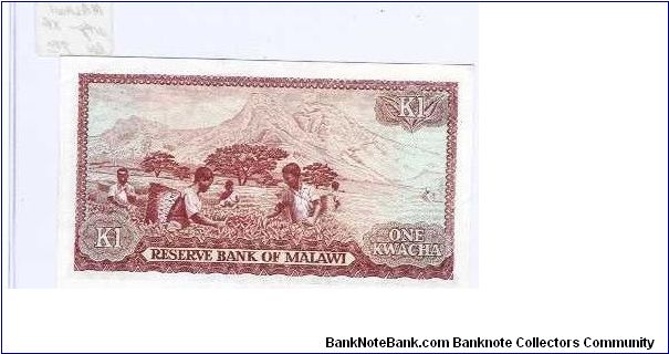 Banknote from Malawi year 1984