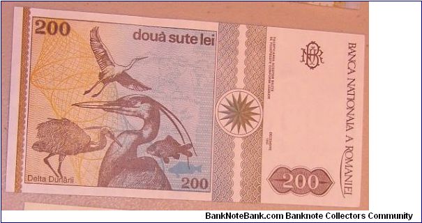 Banknote from Romania year 1992