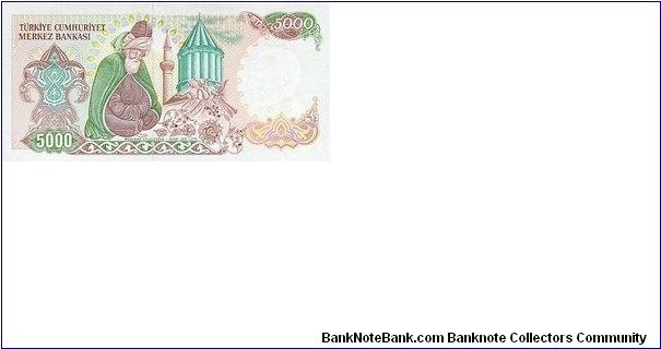 Banknote from Turkey year 1985