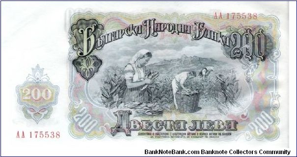 Banknote from Bulgaria year 1951