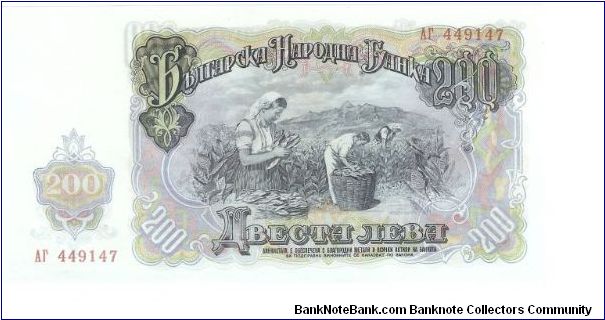 Banknote from Bulgaria year 1951