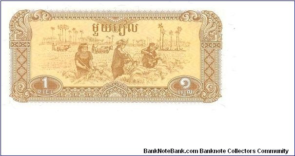 1 Riel

P28 Banknote