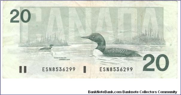 Banknote from Canada year 1991