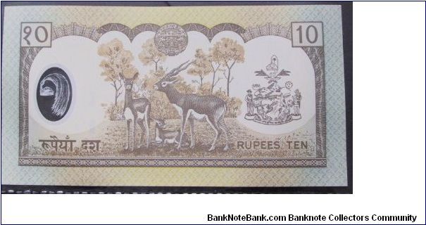 Banknote from Nepal year 2000