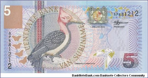 5 Gulden Banknote