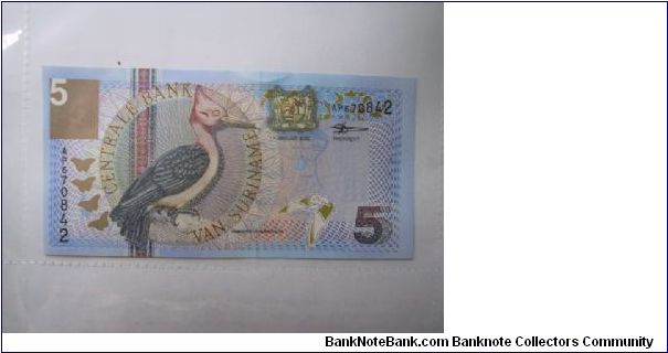 Surinam 5 Gulden banknote
Uncirculated Banknote