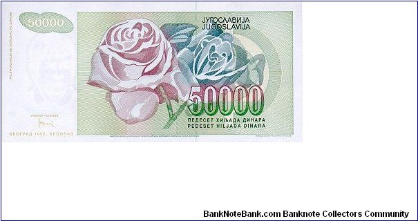 Banknote from Yugoslavia year 1992