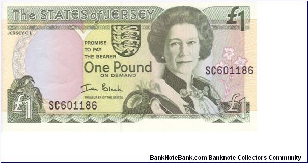 Jersey £1 note.

Standard Issue Banknote