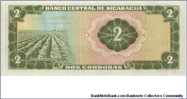 Banknote from Nicaragua year 1972