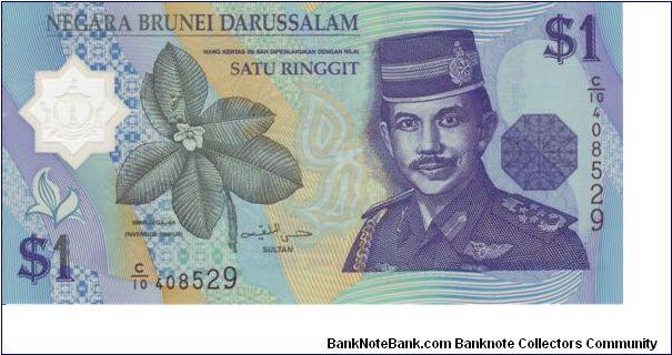 Brunei, 1 Ringgit

Polymere Note Banknote