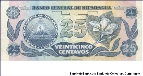 Banknote from Nicaragua year 1991