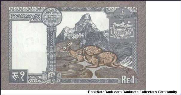 Banknote from Nepal year 1991