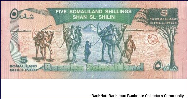 Banknote from Somalia year 1994