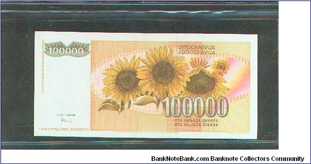 Banknote from Yugoslavia year 1993