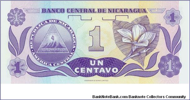 Banknote from Nicaragua year 1991