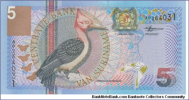 5 Gulden Banknote