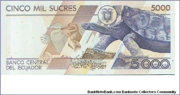 Banknote from Ecuador year 1999