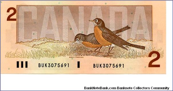 Banknote from Canada year 1986