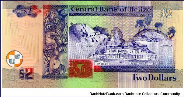 Banknote from Belize year 2002