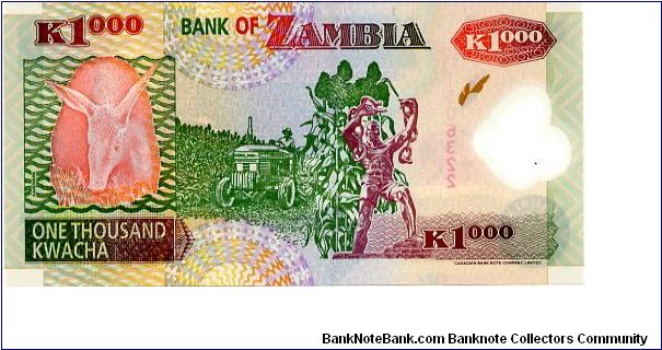 Banknote from Zambia year 2005