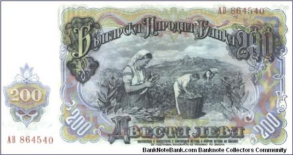 Banknote from Bulgaria year 1951