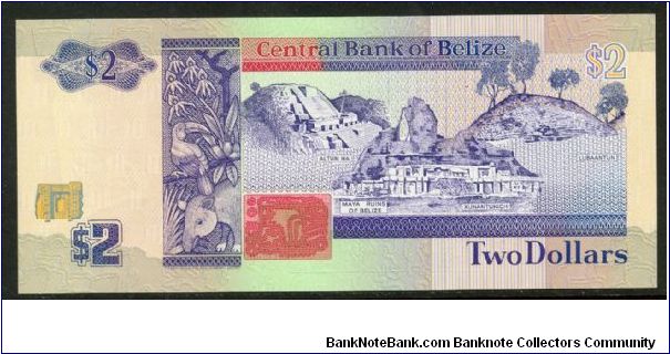 Banknote from Belize year 1991