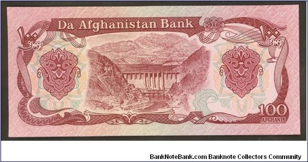 Banknote from Afghanistan year 1991