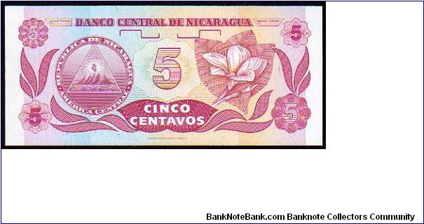 Banknote from Nicaragua year 1991