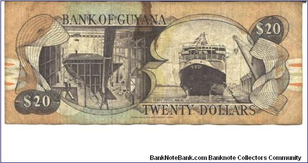 Banknote from Guyana year 1989