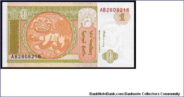 1 Tugrik

Pk 52 Banknote