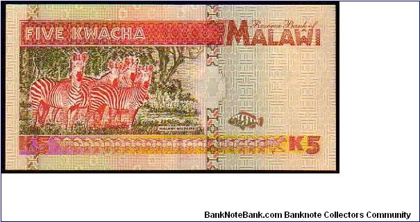 Banknote from Malawi year 1995