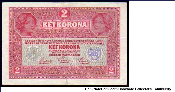 Banknote from Austria year 1919