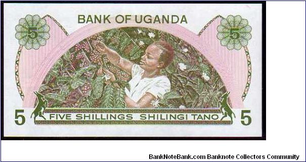 Banknote from Uganda year 1982