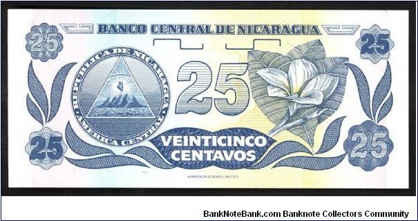 Banknote from Nicaragua year 1991